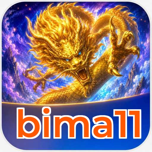 Troubleshooting bima11